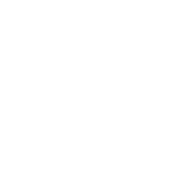 icon-shield_white - SubScan